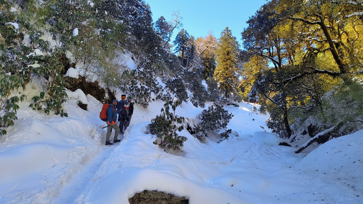 Sandakphu Trek